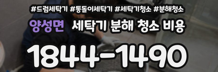 양성면 세탁기 분해 청소 비용