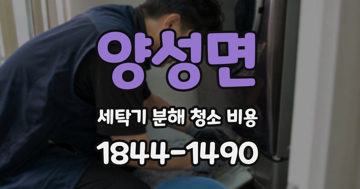 양성면 세탁기 분해 청소 비용