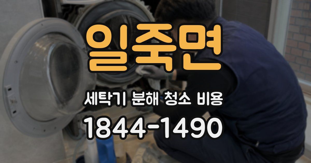 일죽면 세탁기 분해 청소 비용
