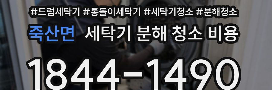 죽산면 세탁기 분해 청소 비용