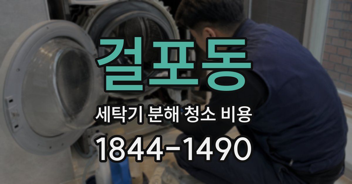 걸포동 세탁기 분해 청소 비용