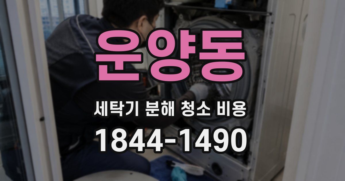운양동 세탁기 분해 청소 비용