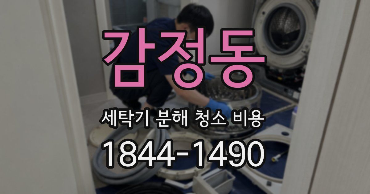 감정동 세탁기 분해 청소 비용