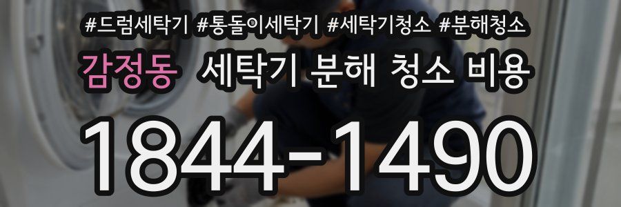 감정동 세탁기 분해 청소 비용