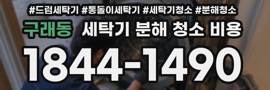구래동 세탁기 분해 청소 비용