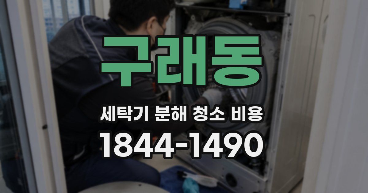 구래동 세탁기 분해 청소 비용