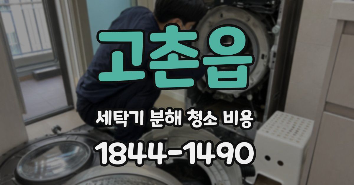 고촌읍 세탁기 분해 청소 비용