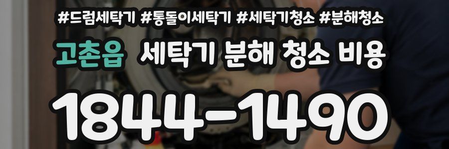 고촌읍 세탁기 분해 청소 비용