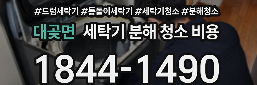 대곶면 세탁기 분해 청소 비용