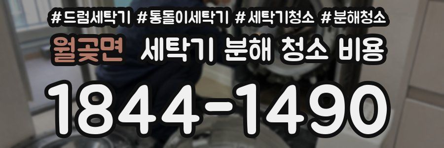 월곶면 세탁기 분해 청소 비용