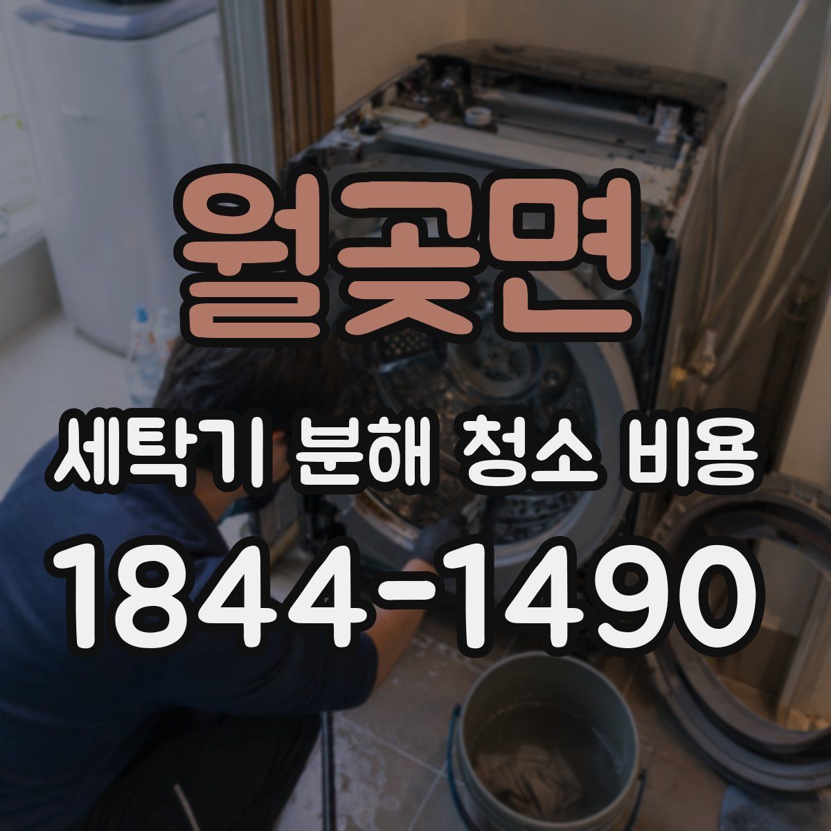 월곶면 세탁기 분해 청소 비용