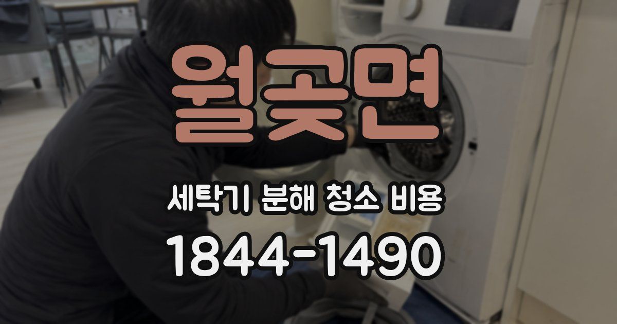 월곶면 세탁기 분해 청소 비용