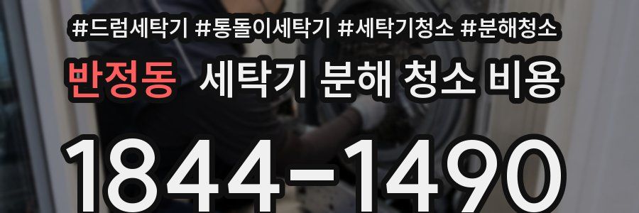 반정동 세탁기 분해 청소 비용