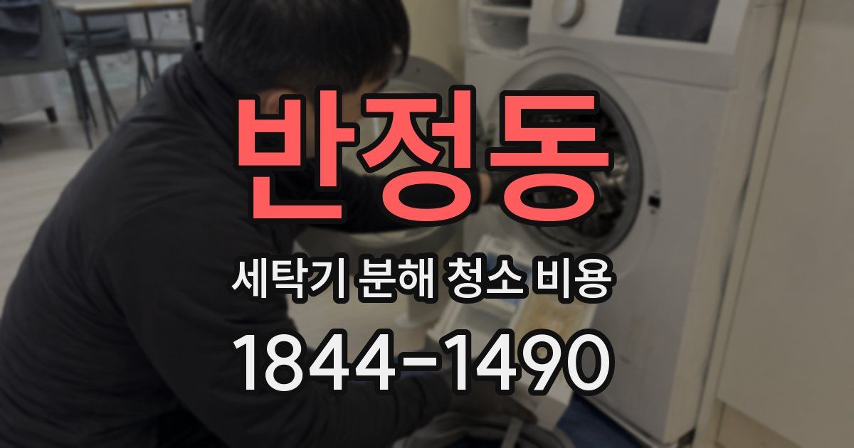 반정동 세탁기 분해 청소 비용