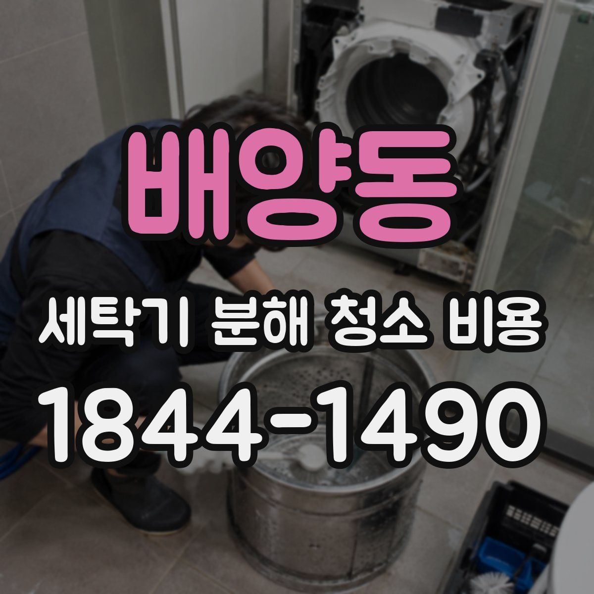 배양동 세탁기 분해 청소 비용