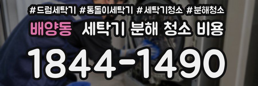 배양동 세탁기 분해 청소 비용