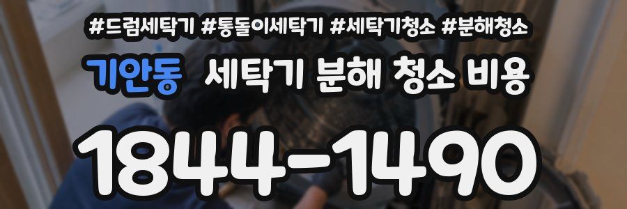 기안동 세탁기 분해 청소 비용