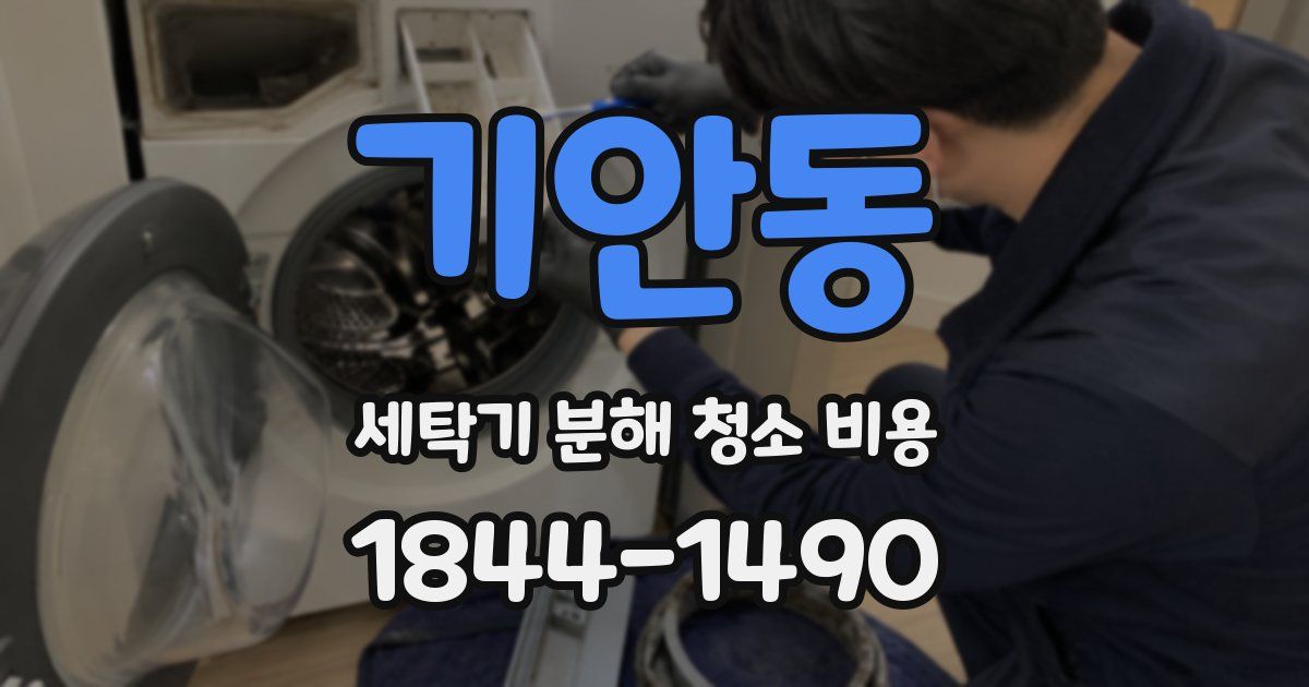 기안동 세탁기 분해 청소 비용