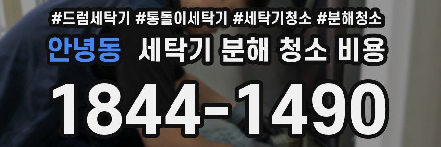 안녕동 세탁기 분해 청소 비용