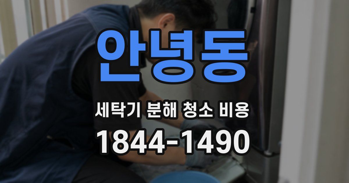 안녕동 세탁기 분해 청소 비용