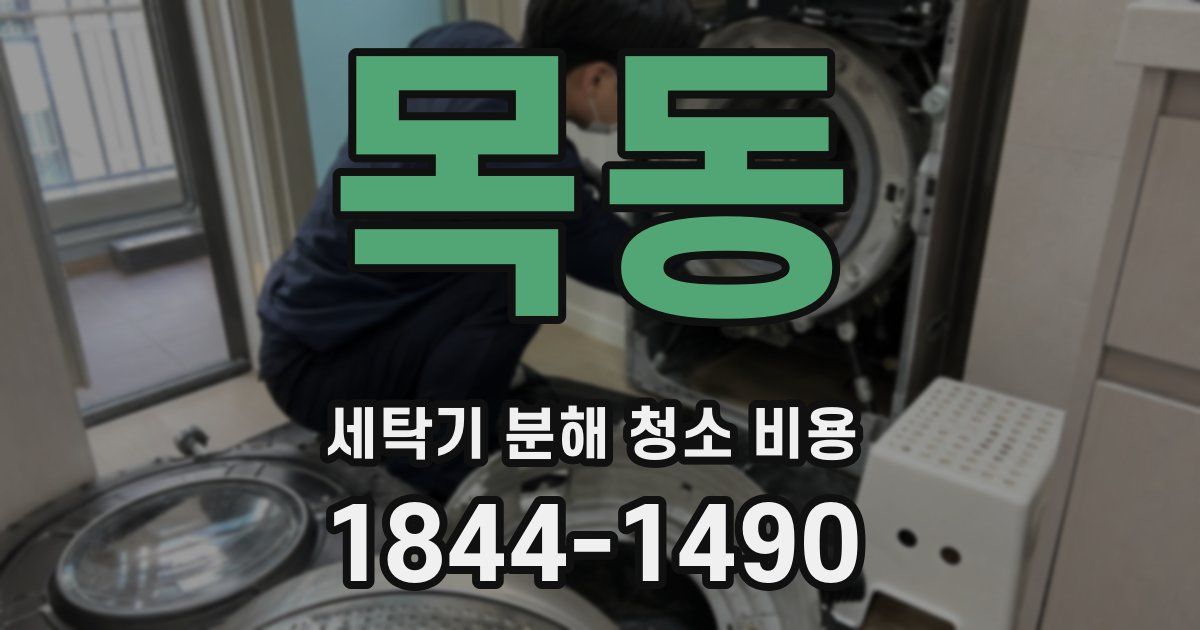 목동 세탁기 분해 청소 비용