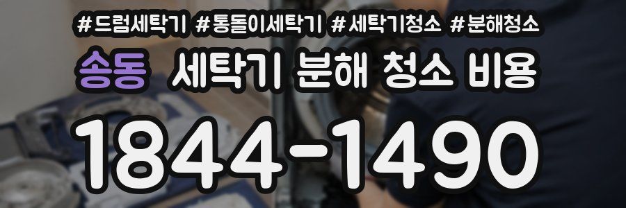 송동 세탁기 분해 청소 비용