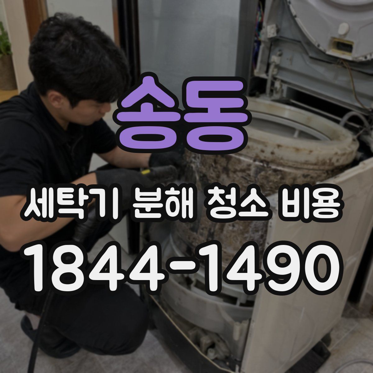 송동 세탁기 분해 청소 비용