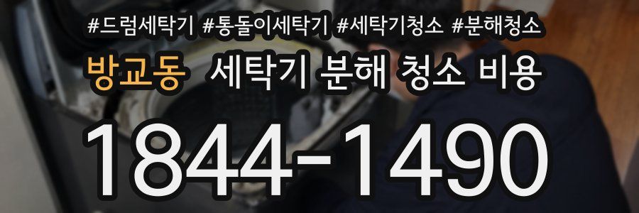 방교동 세탁기 분해 청소 비용