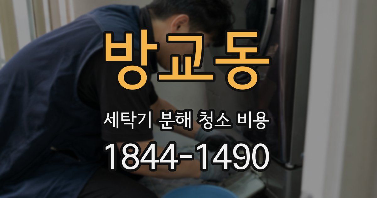 방교동 세탁기 분해 청소 비용