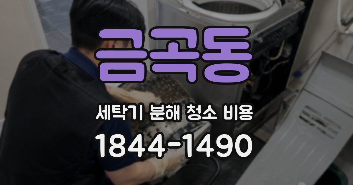 금곡동 세탁기 분해 청소 비용