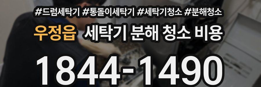 우정읍 세탁기 분해 청소 비용