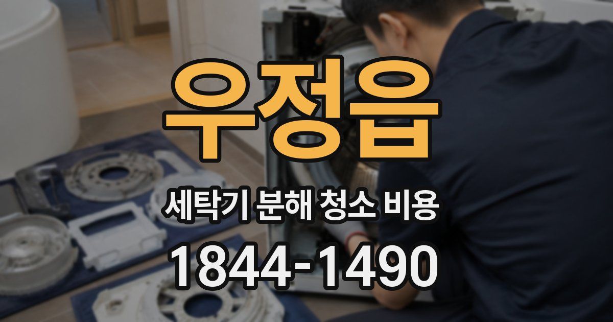 우정읍 세탁기 분해 청소 비용