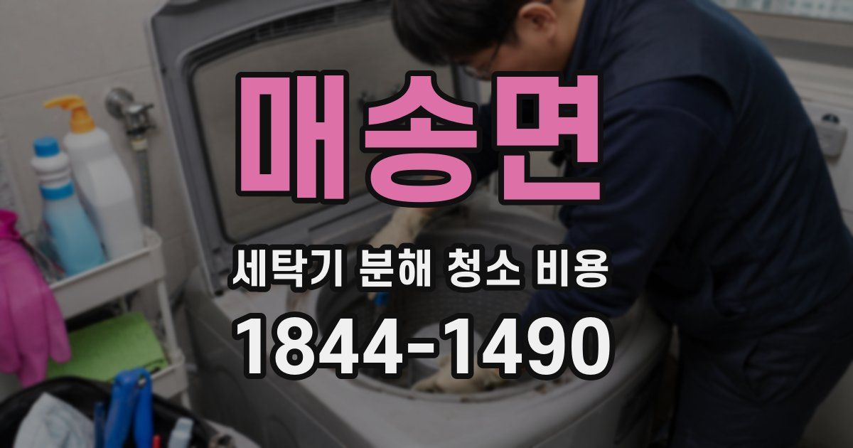 매송면 세탁기 분해 청소 비용