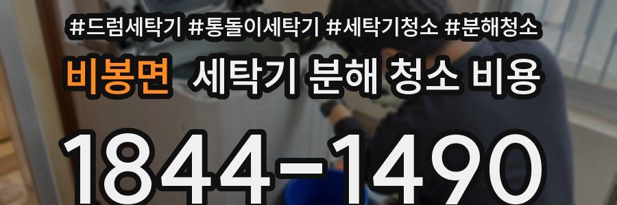 비봉면 세탁기 분해 청소 비용