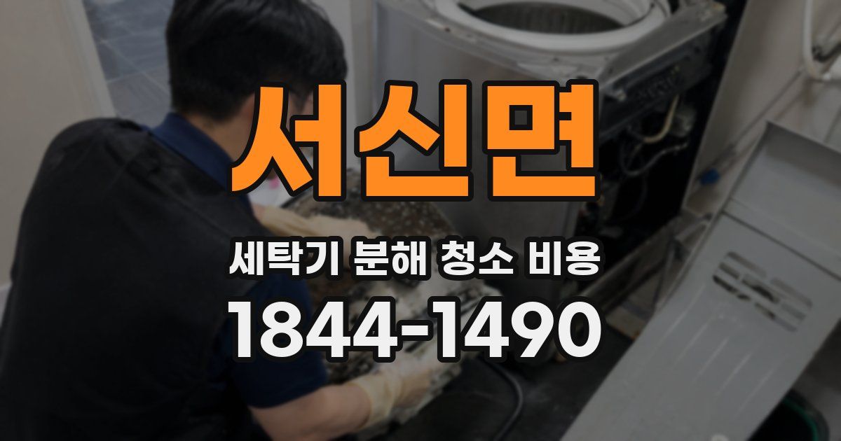 서신면 세탁기 분해 청소 비용