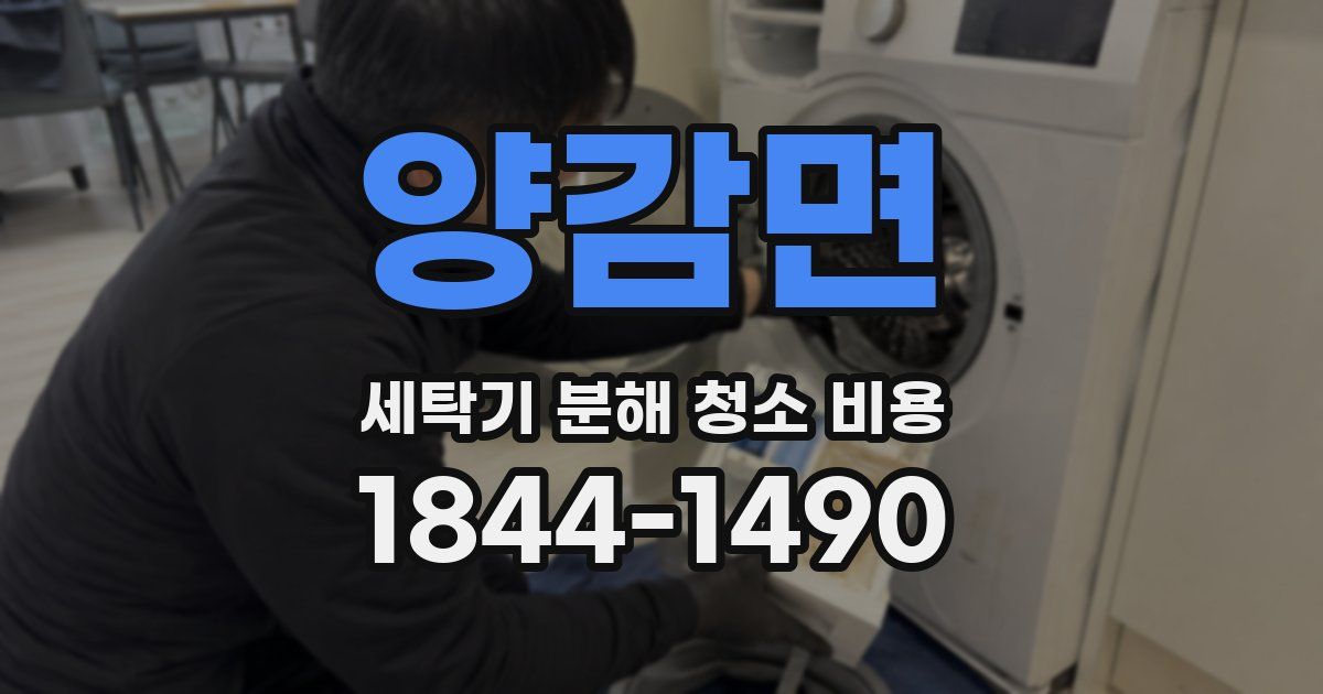 양감면 세탁기 분해 청소 비용