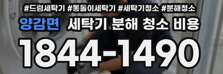양감면 세탁기 분해 청소 비용
