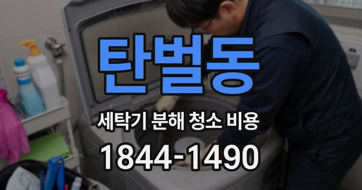 탄벌동 세탁기 분해 청소 비용