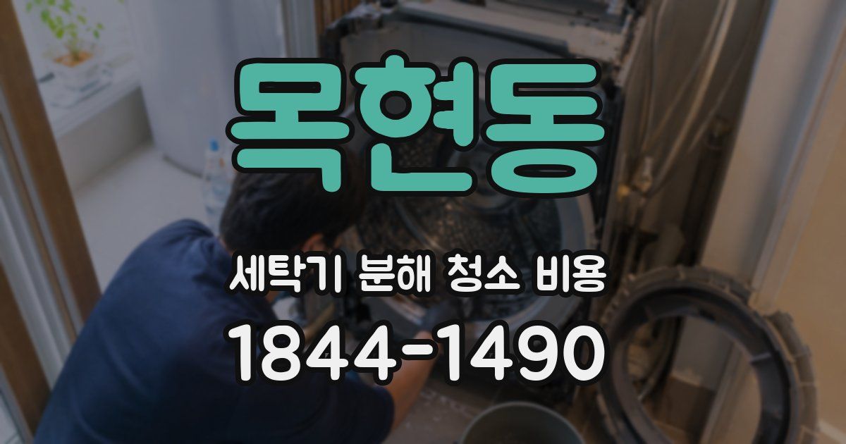 목현동 세탁기 분해 청소 비용