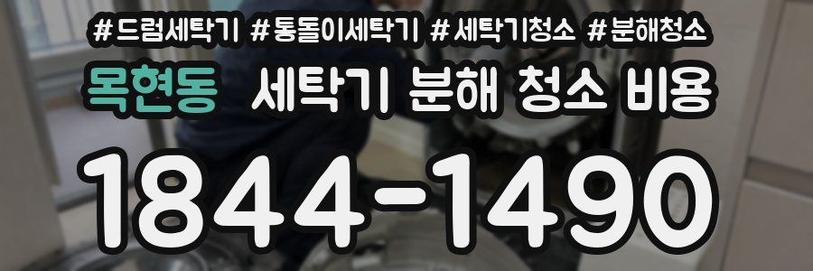 목현동 세탁기 분해 청소 비용
