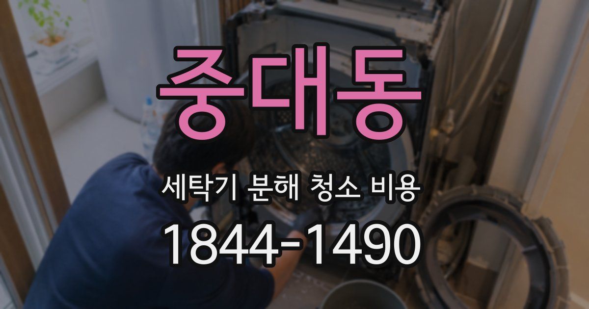 중대동 세탁기 분해 청소 비용