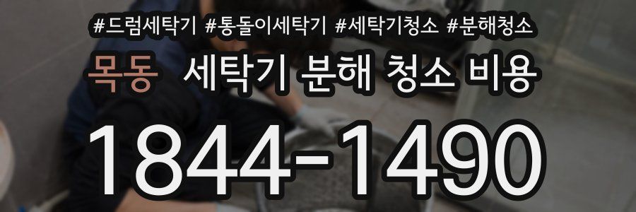목동 세탁기 분해 청소 비용
