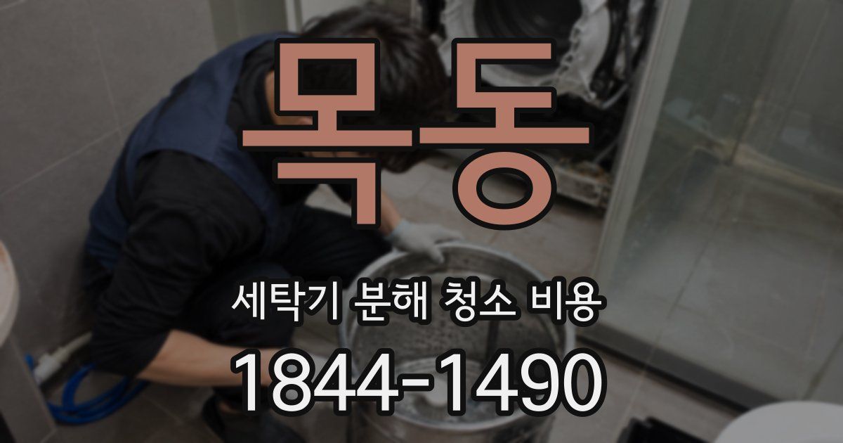목동 세탁기 분해 청소 비용