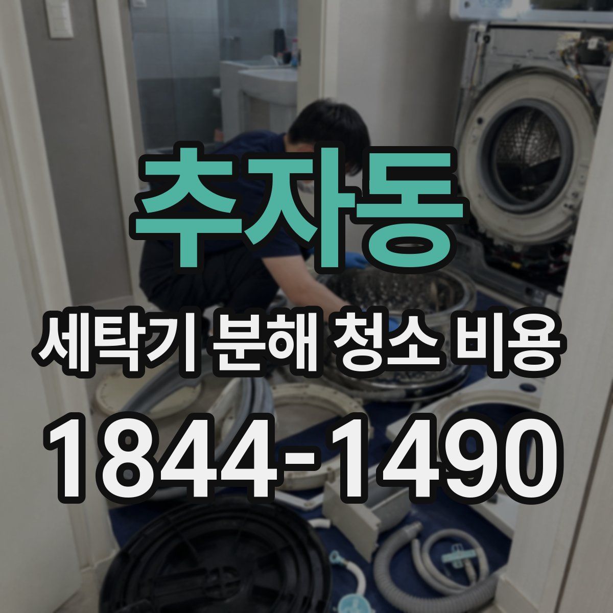 추자동 세탁기 분해 청소 비용