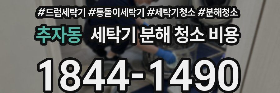 추자동 세탁기 분해 청소 비용