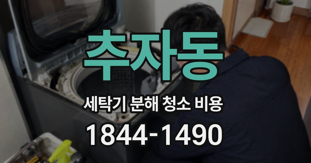 추자동 세탁기 분해 청소 비용