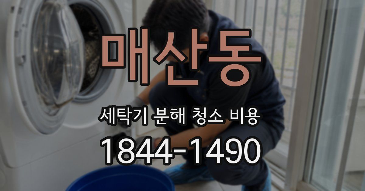 매산동 세탁기 분해 청소 비용