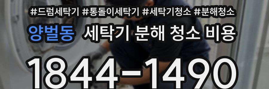 양벌동 세탁기 분해 청소 비용