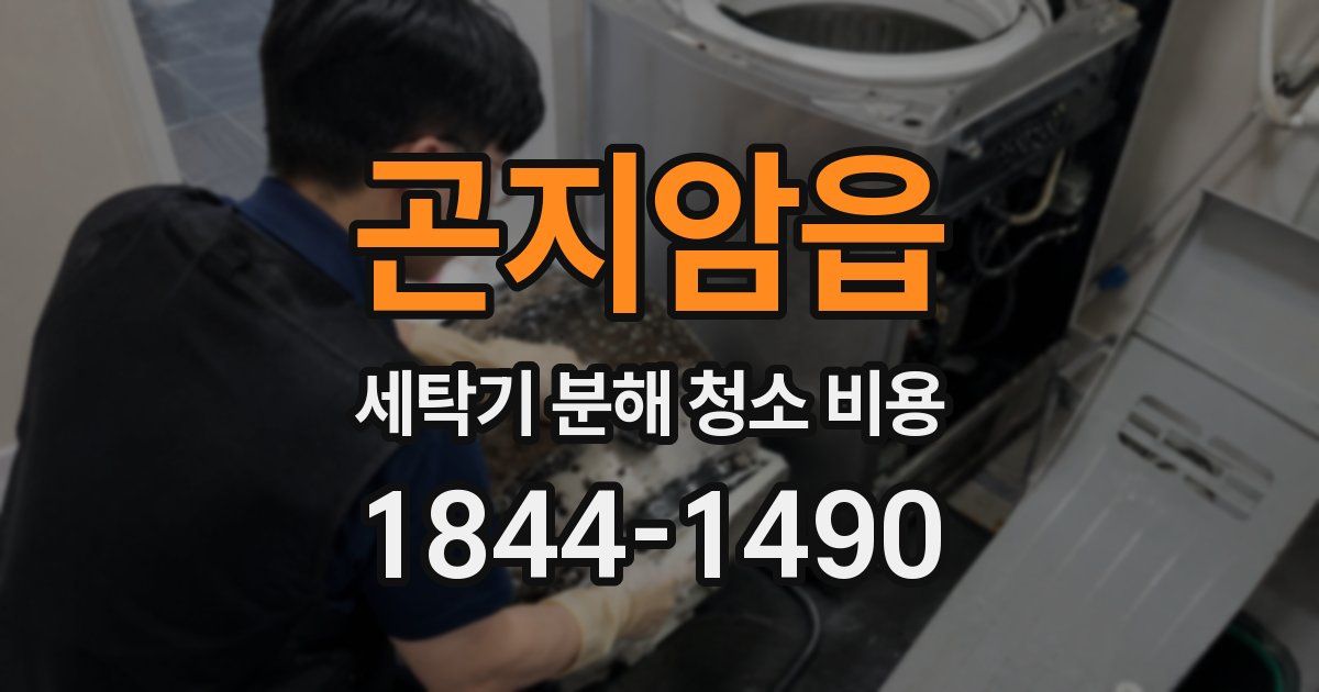 곤지암읍 세탁기 분해 청소 비용
