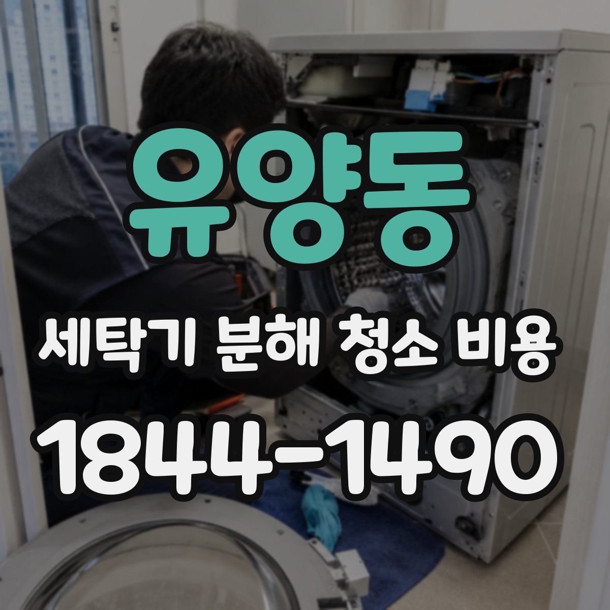 유양동 세탁기 분해 청소 비용